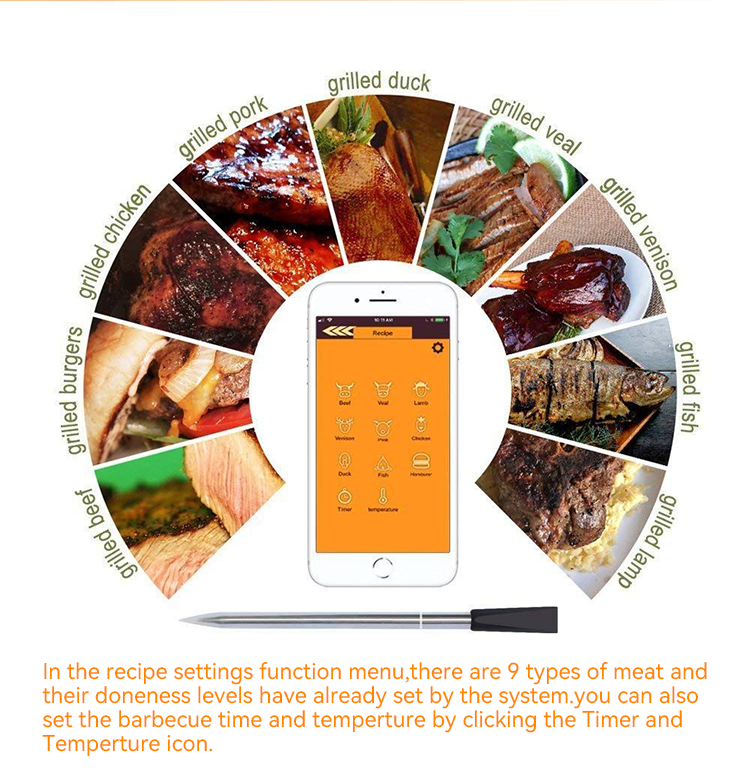 Wireless Smart Meat Thermometer,JW1906,31*46*20cm,Black
