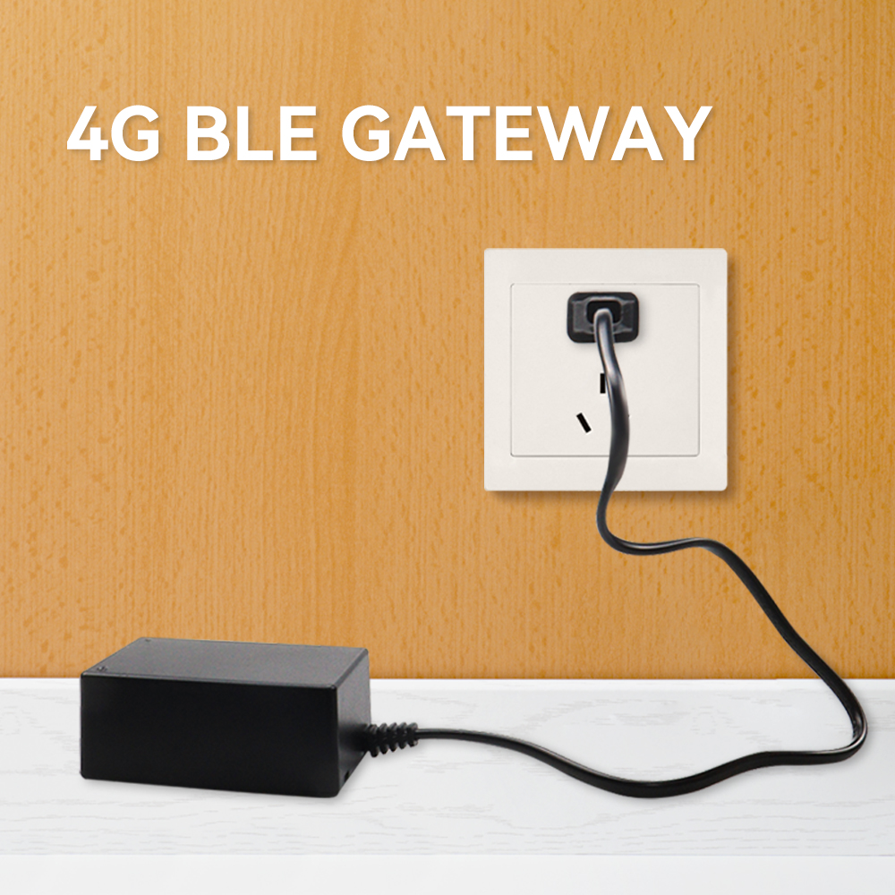 Bluetooth Gateway (4G)