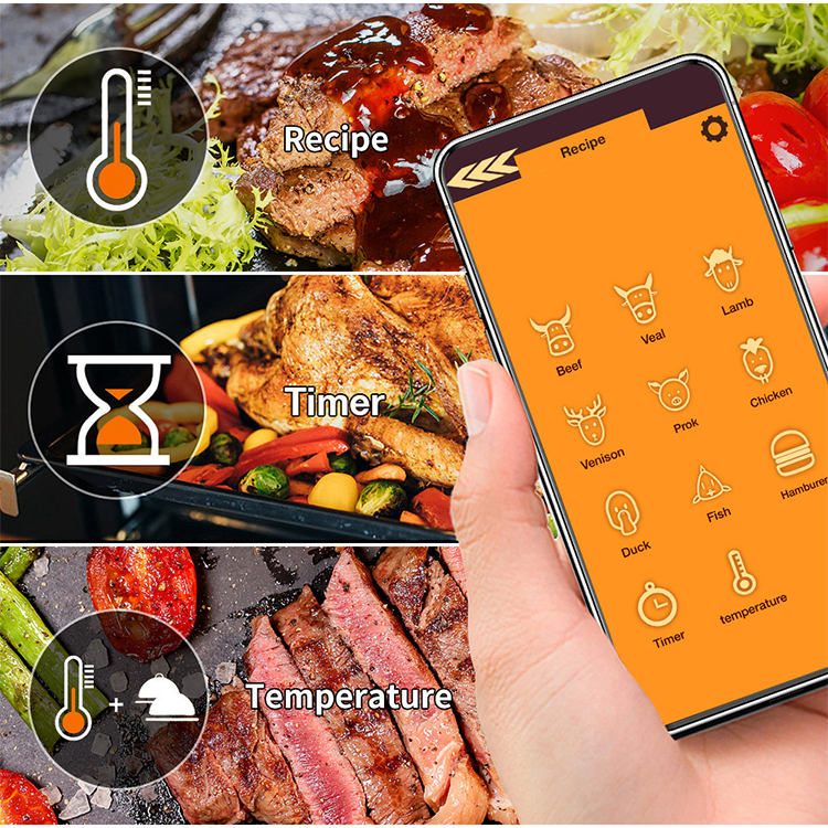 Wireless Smart Meat Thermometer,JW1906,31*46*20cm,Black